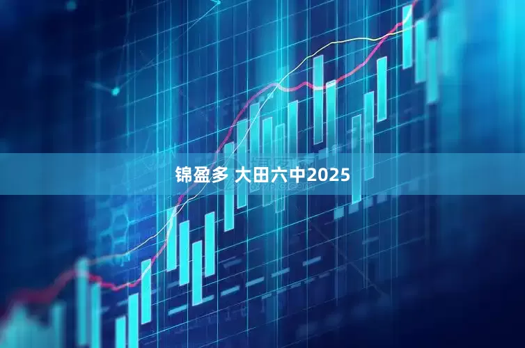 锦盈多 大田六中2025